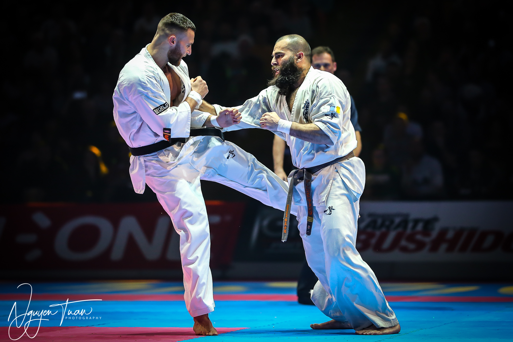 20190324 Festival des Arts Martiaux 6086